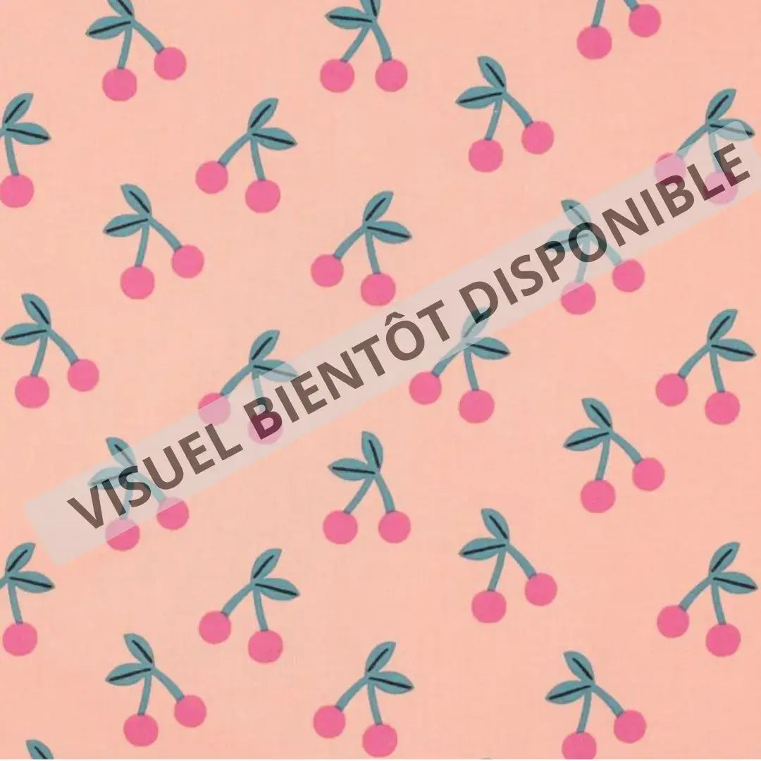 Pochettes à sandwichs lavables et réutilisables en coton enduit, format pain de mie et demi-baguette avec essuie-tout lavable